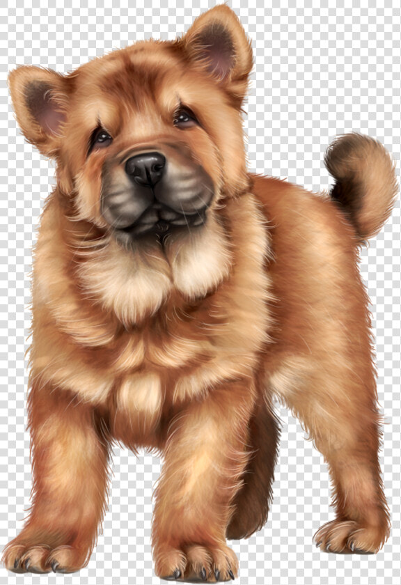 Tiernos Bebes Perro Caricatura  HD Png DownloadTransparent PNG