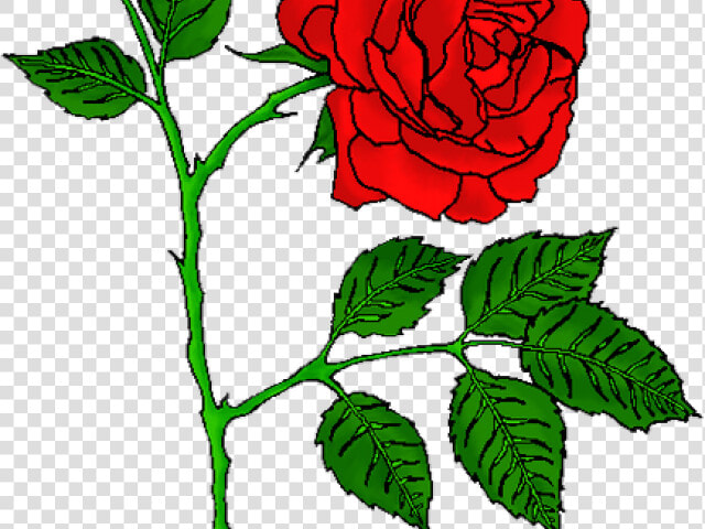 Rose Tattoo Clipart Picsart Png   Red Rose Tattoo Png  Transparent PngTransparent PNG