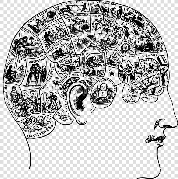 Brain Narrative  HD Png DownloadTransparent PNG