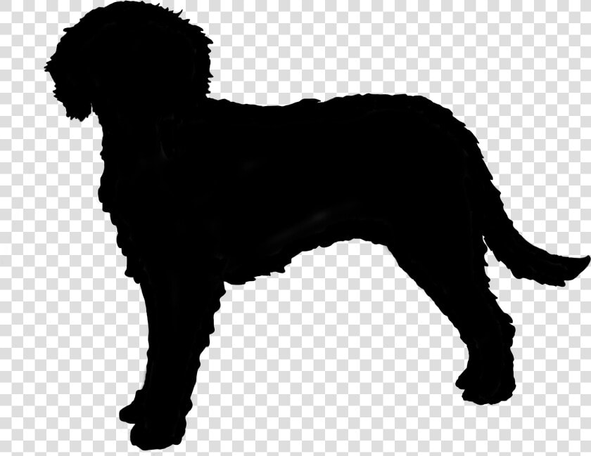 Australian Cobberdog Silhouette   Silhouette Of A Labradoodle  HD Png DownloadTransparent PNG