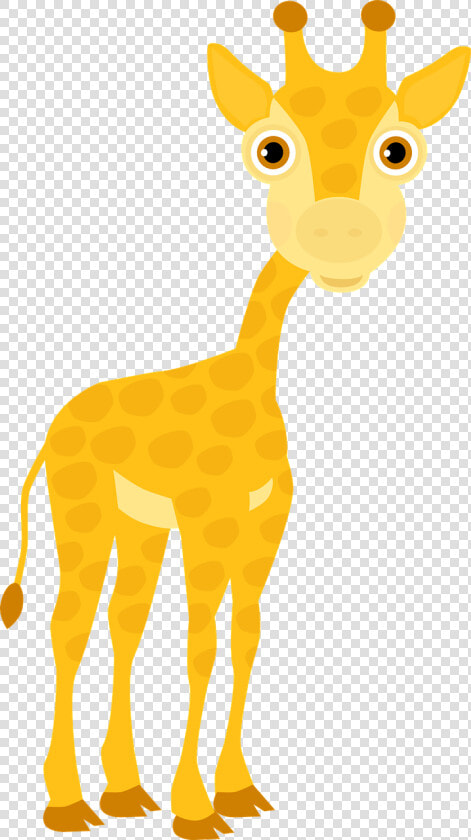 Giraffe Cub Zoo Picpng   Safari Animals Transparent  Png DownloadTransparent PNG