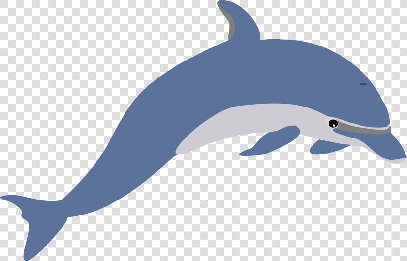 Dolphin Clip Art Pictures   Dolphin Clipart  HD Png DownloadTransparent PNG