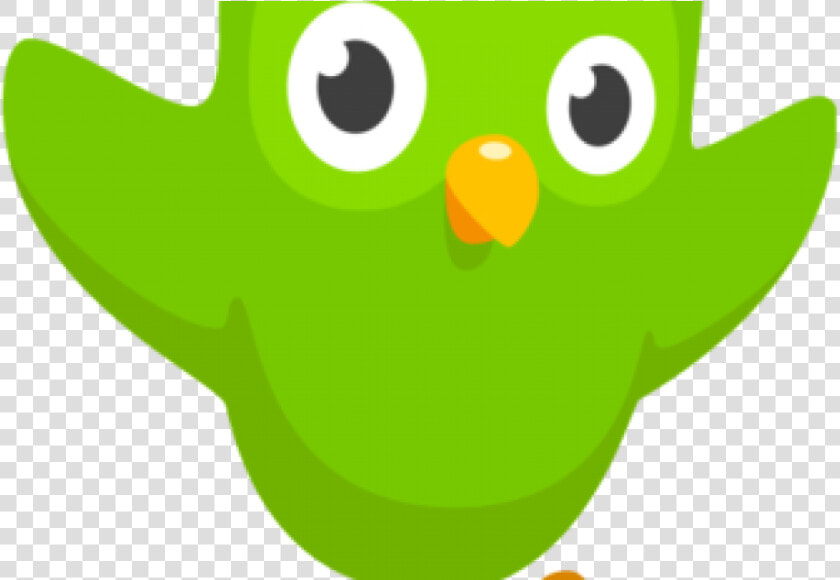 Duolingo Enables English Speakers To Learn Hebrew For   You Missed Your Spanish Lesson  HD Png DownloadTransparent PNG