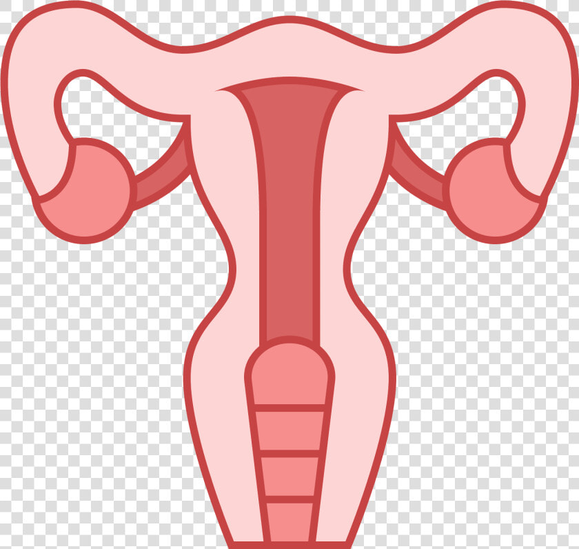 This Icon Represents The Uterus Of A Female Human   Clipart Uterus Png  Transparent PngTransparent PNG