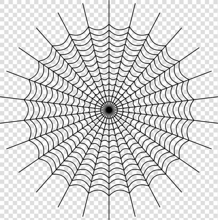 Drawing Web Spider Silk   Charlottes Web Spider Web  HD Png DownloadTransparent PNG