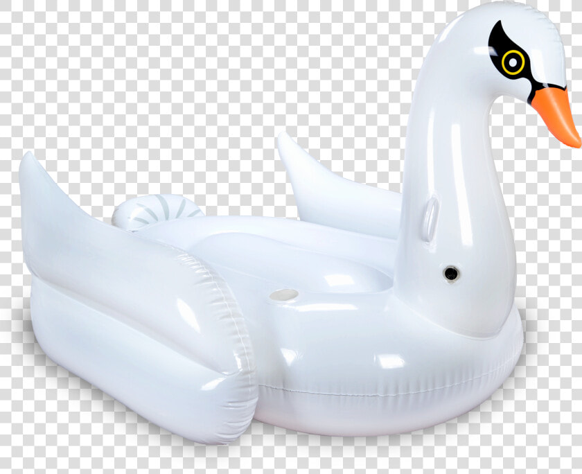 Pool Floatie Png  Transparent PngTransparent PNG