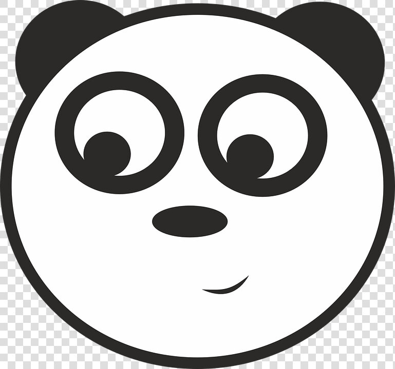 Panda  Animal  Zoo  Pandas  Image  A Smile  Jungle   Giant Panda  HD Png DownloadTransparent PNG