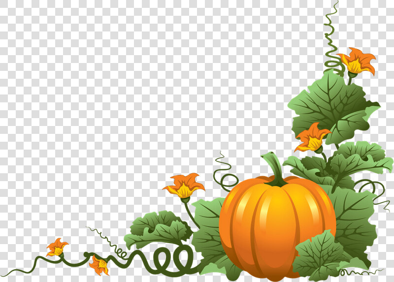 Pumpkin Vine Clipart Png Transparent Png   Png Download   Transparent Fall Pumpkins  Png DownloadTransparent PNG