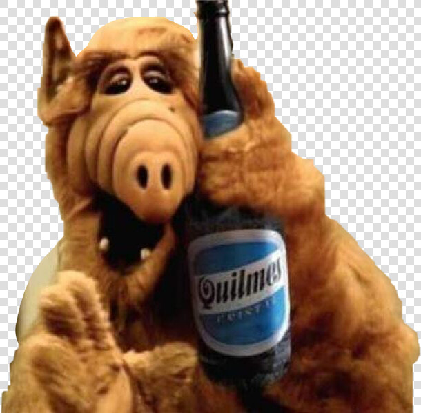  alf  usa  old  comedy  beer  love  free  freetoedit   Alf Png  Transparent PngTransparent PNG