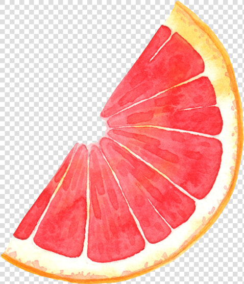 Clip Art Pomelo Blood Orange Illustration   Grapefruit Cartoon Png  Transparent PngTransparent PNG