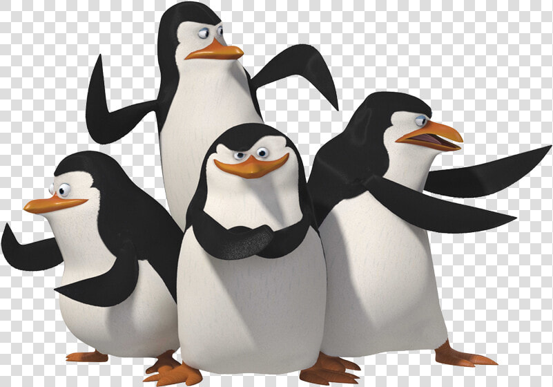 Vector Download Free Png   Penguins Of Madagascar Png  Transparent PngTransparent PNG