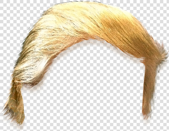 Donald Trumps Hair Png  Transparent PngTransparent PNG