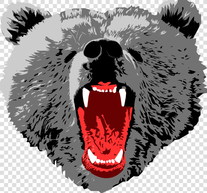 Sign Up To Join The Conversation   Grizzly Bear Png Face  Transparent PngTransparent PNG