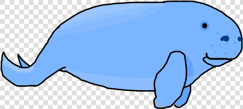 Manatee Drawing Dugong  HD Png DownloadTransparent PNG