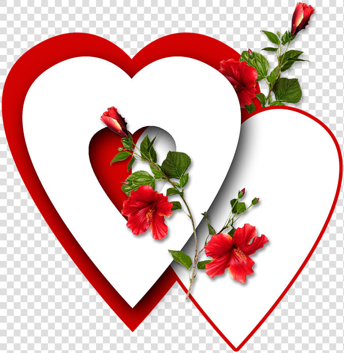 Corazón  Rojo  Png   Heart  Transparent PngTransparent PNG