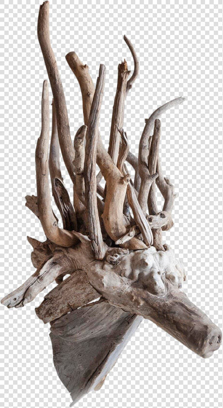 Driftwood Fantasy Animal Head Sculpture 6926   Driftwood  HD Png DownloadTransparent PNG