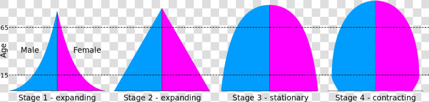 4 Types Of Population Pyramids Pdf  HD Png DownloadTransparent PNG