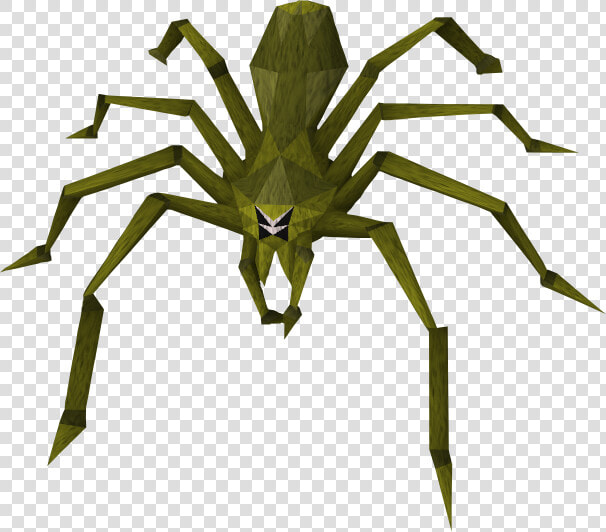 Jungle Vines Png   Insect In Jungle Png  Transparent PngTransparent PNG