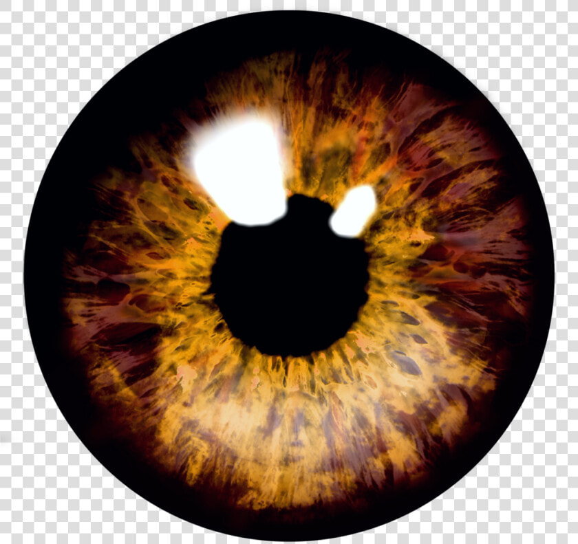 Eye   Eyes   Eyeball   Eyeballs   Png Download   Brown Eyes Transparent Background  Png DownloadTransparent PNG