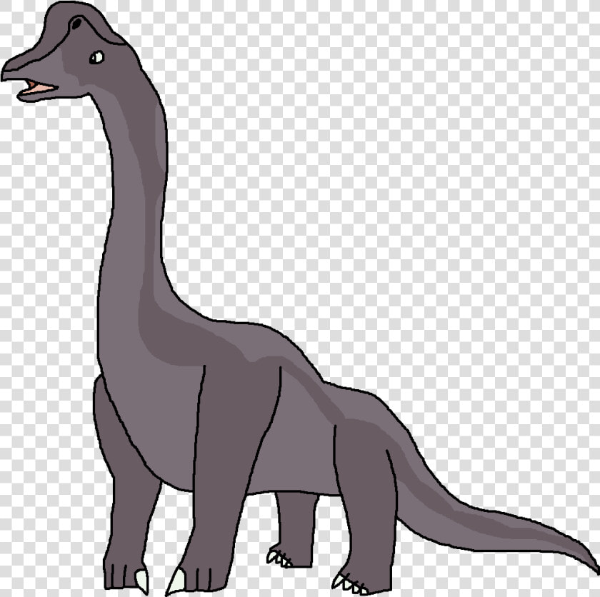 Dinosaur Png Images Transparent   Dinosaur Pedia Brachiosaurus  Png DownloadTransparent PNG