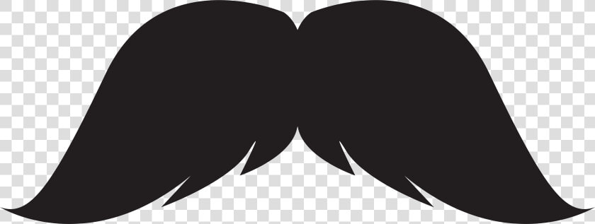 Moustache Hair Google Adwords Clip Art   Moustache Png  Transparent PngTransparent PNG