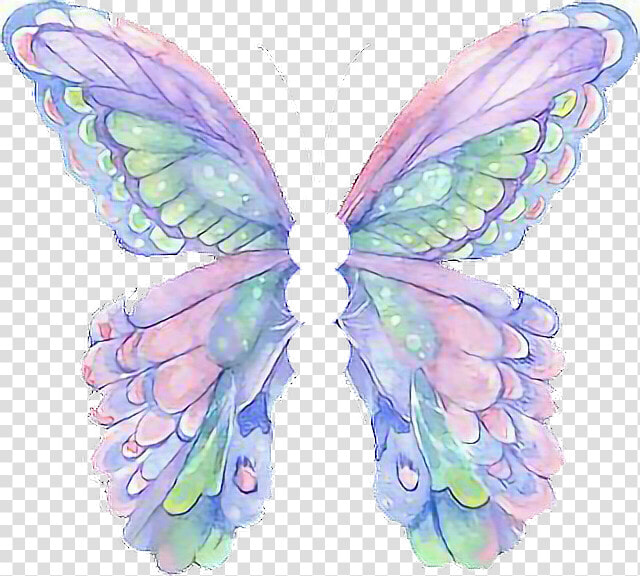  mariposa  arco Iris🌈  alas  cool  tumblr  selfie   Qlas De Mariposa Png  Transparent PngTransparent PNG