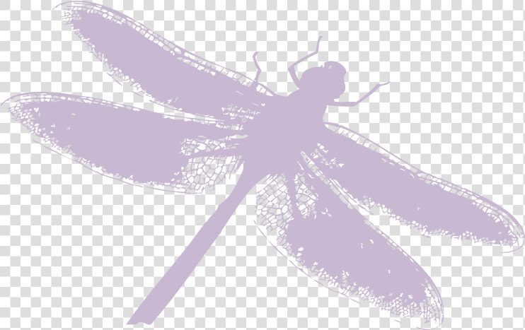 Dragonfly Silhouette Png Download   Dragonfly  Transparent PngTransparent PNG