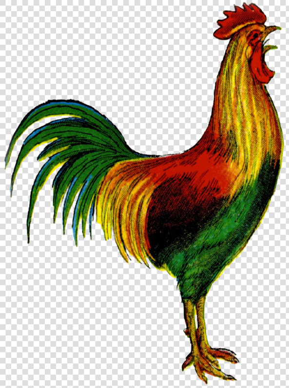 Clip Art Welsummer Clip Art Openclipart   Rooster Crowing Clipart Free  HD Png DownloadTransparent PNG