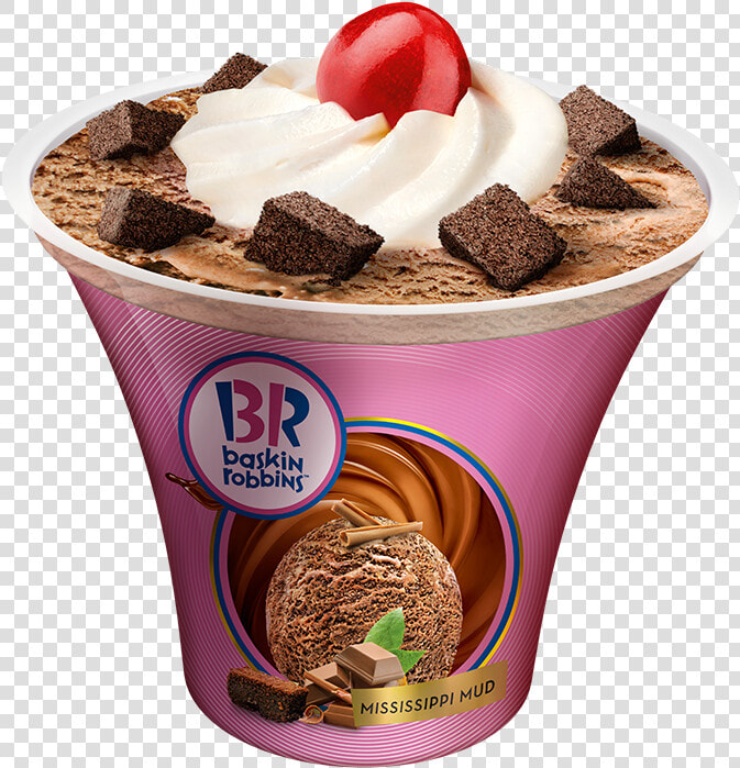 Baskin Robbins Png  Transparent PngTransparent PNG