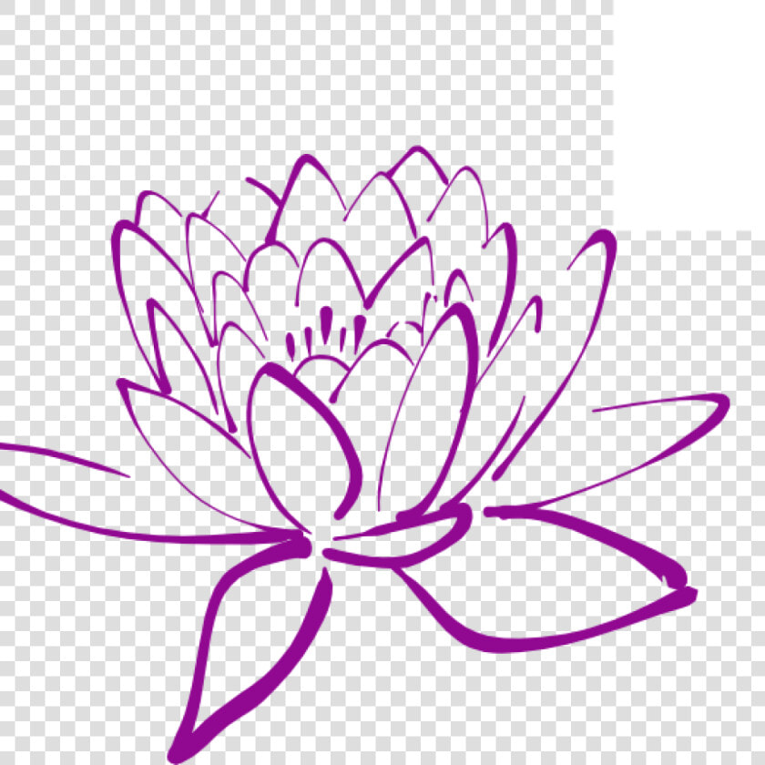 Magnolia Clipart Magnolia Flower   Lotus Flower Drawing Png  Transparent PngTransparent PNG