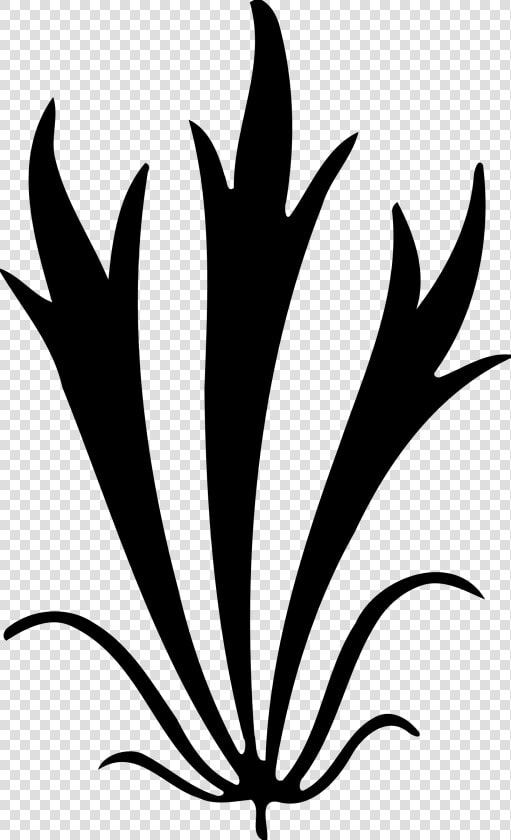 Daun Abstrak  HD Png DownloadTransparent PNG