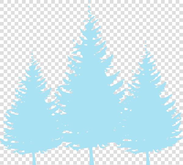 Baby Blue Trees Svg Clip Arts   Transparent Pine Tree Clip Art  HD Png DownloadTransparent PNG