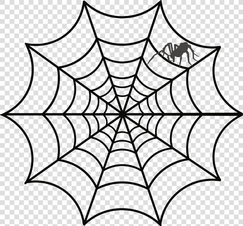 Spider Web Drawing Sketch   Spider Web Clipart Transparent Background  HD Png DownloadTransparent PNG