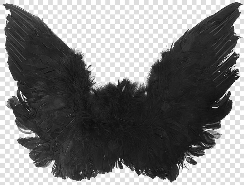 Trend Black Angel Wings Png High Quality Image Vector    Black Angel Wings Png  Transparent PngTransparent PNG