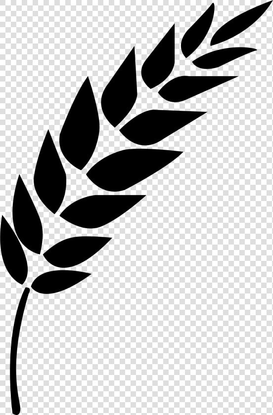 Black And White Wheat Stalk Clipart   Png Download   Icon Vector Wheat Png  Transparent PngTransparent PNG