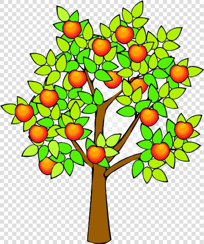 Apple Tree Spring Green Clipart Draw Realistic Free   Fruit Tree Clip Art  HD Png DownloadTransparent PNG