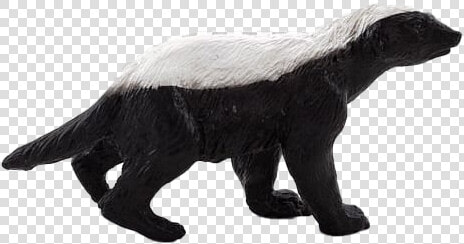 Honey Badger Download Png Image   Honey Badgers Png  Transparent PngTransparent PNG