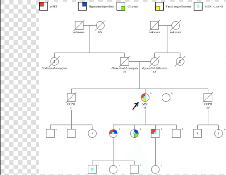 Pedigree the Black Arrow Indicates The Proband  HD Png DownloadTransparent PNG
