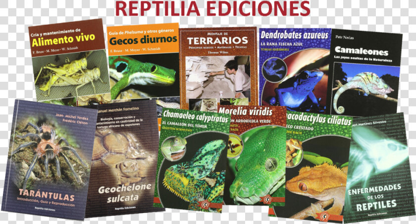 Revistas De Reptiles  HD Png DownloadTransparent PNG