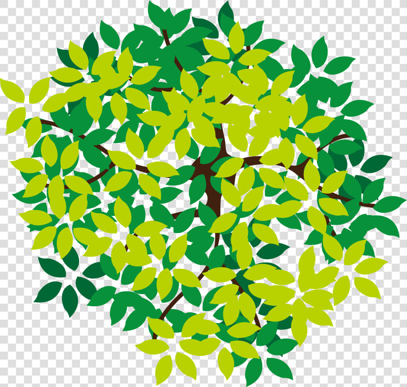 Lush Top Tree Icon Png Download Free Clipart   Tree Top Vector Png  Transparent PngTransparent PNG