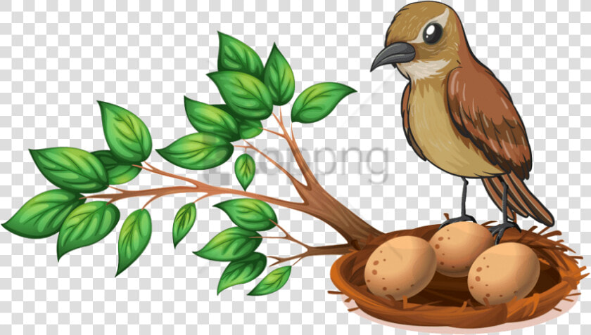 Free Png Download Bird Nest On Tree Png Images Background   Bird Nest In Tree Clipart  Transparent PngTransparent PNG