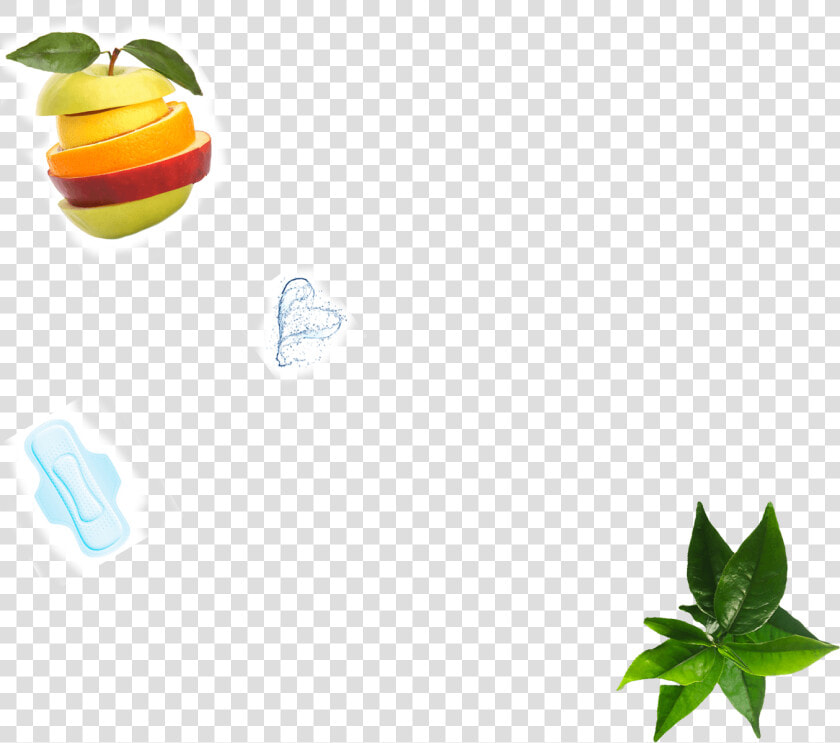 Tangerine  HD Png DownloadTransparent PNG