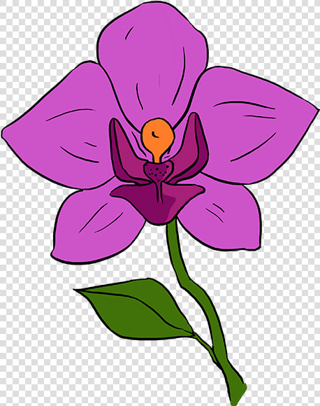 How To Draw Orchid   Orchid Flower Drawing Step By Step  HD Png DownloadTransparent PNG