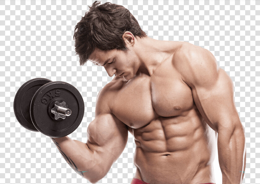 Muscle Image Purepng Free   Build Muscle  Transparent PngTransparent PNG