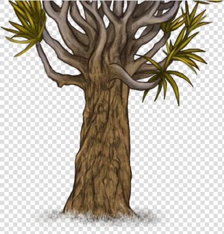 Pond Pine  HD Png DownloadTransparent PNG