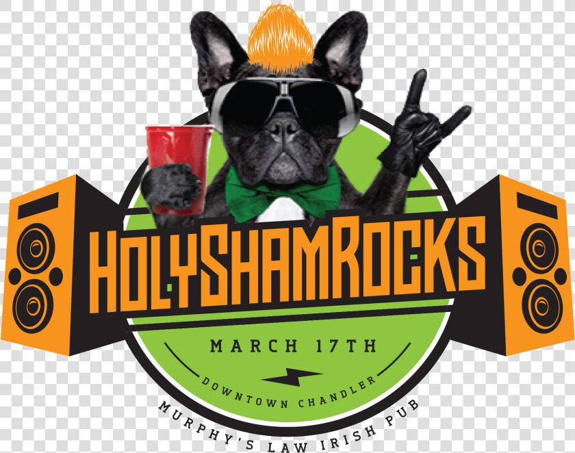 Holyshamrocks   Shamrockfest Chandler Az  HD Png DownloadTransparent PNG