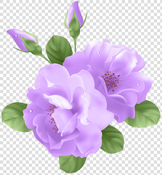 Rose Clip Art Vector   Purple Rose Transparent Background  HD Png DownloadTransparent PNG