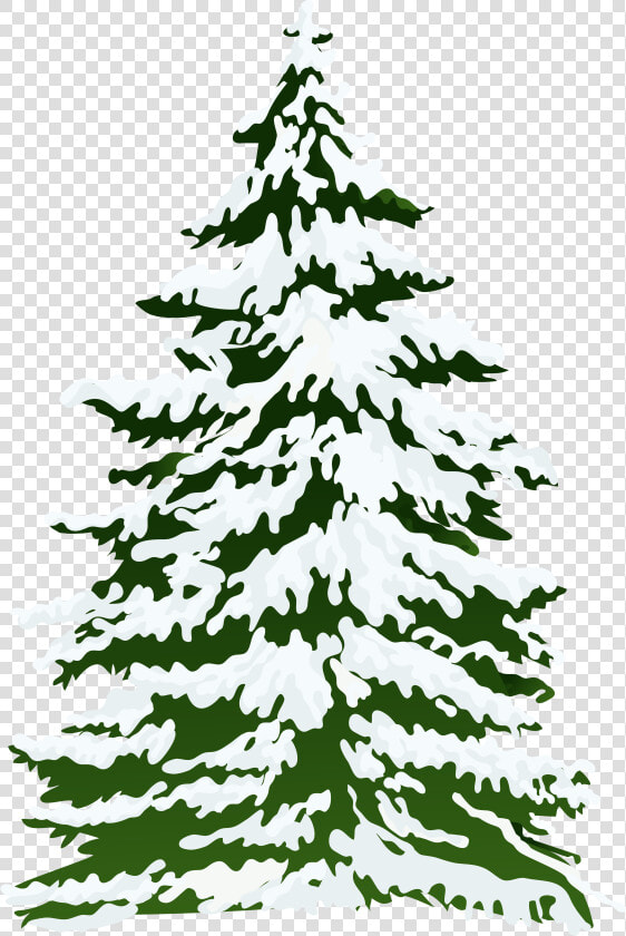 Snowy Tree Branch Clip Art Clipart Free Download   Snow Pine Tree Clipart  HD Png DownloadTransparent PNG