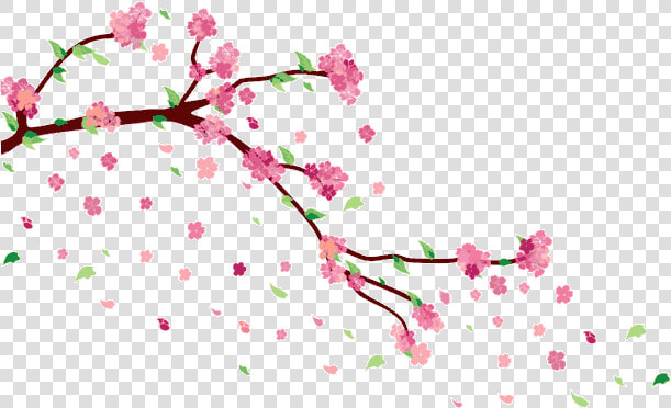 Cherry Blossom Png Falling By Ayshamostafiz On Deviantart   Cherry Blossom Aesthetic Transparent  Png DownloadTransparent PNG