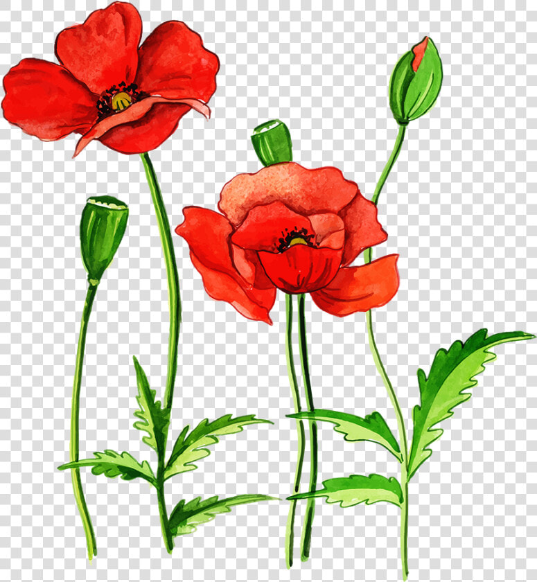 Free Png Floral Bouquets  Transparent PngTransparent PNG